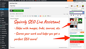 squirllly seo plugin - live assistant